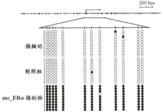 【專利核准公告】P97003-藉由一涉及量身訂作的表觀基因體修飾的方法治療一與異常的基因低度甲基化有關聯的疾病或病況 【專利核准公告】P97003-藉由一涉及量身訂作的表觀基因體修飾的方法治療一與異常的基因低度甲基化有關聯的疾病或病況