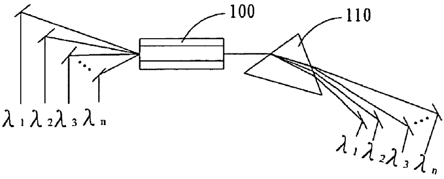 P101019-多工光纖光學生物感測器及偵測方法 P101019-多工光纖光學生物感測器及偵測方法