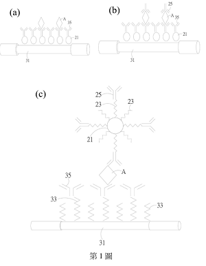 P107012TW-待測物濃度之測定方法及套組