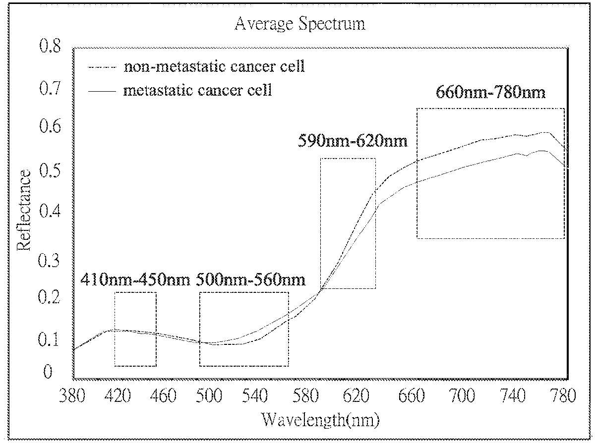 P112012US-一種用於偵測細胞轉移之影像分析之方法「METHOD FOR IMAGE ANALYSIS OF PREDICTED CELL METASTASIS」 P112012US-一種用於偵測細胞轉移之影像分析之方法「METHOD FOR IMAGE ANALYSIS OF PREDICTED CELL METASTASIS」