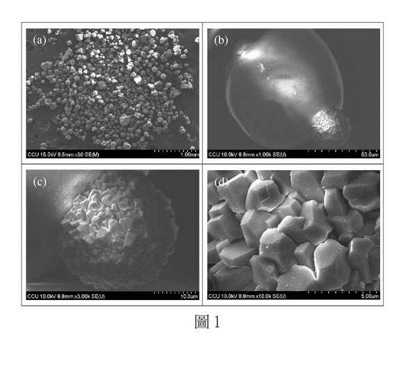 【專利核准公告】P113007TW-碳酸鈣球體的製法